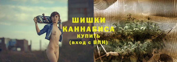 амф Мегион