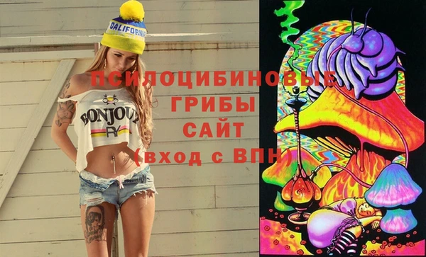 амф Мегион