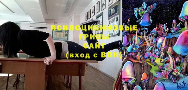 герыч Медногорск