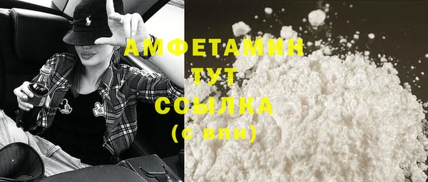амф Мегион