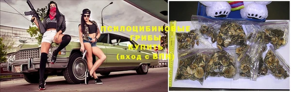 меф Медвежьегорск