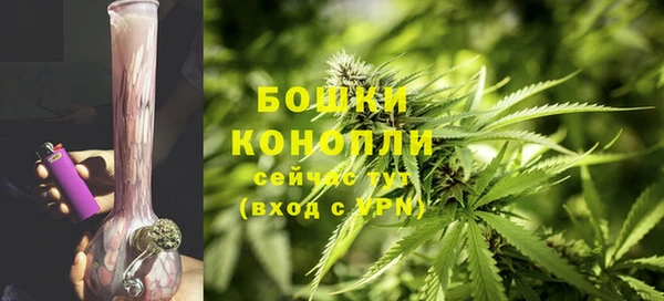 амф Мегион