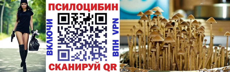 Галлюциногенные грибы мухоморы  Кунгур 