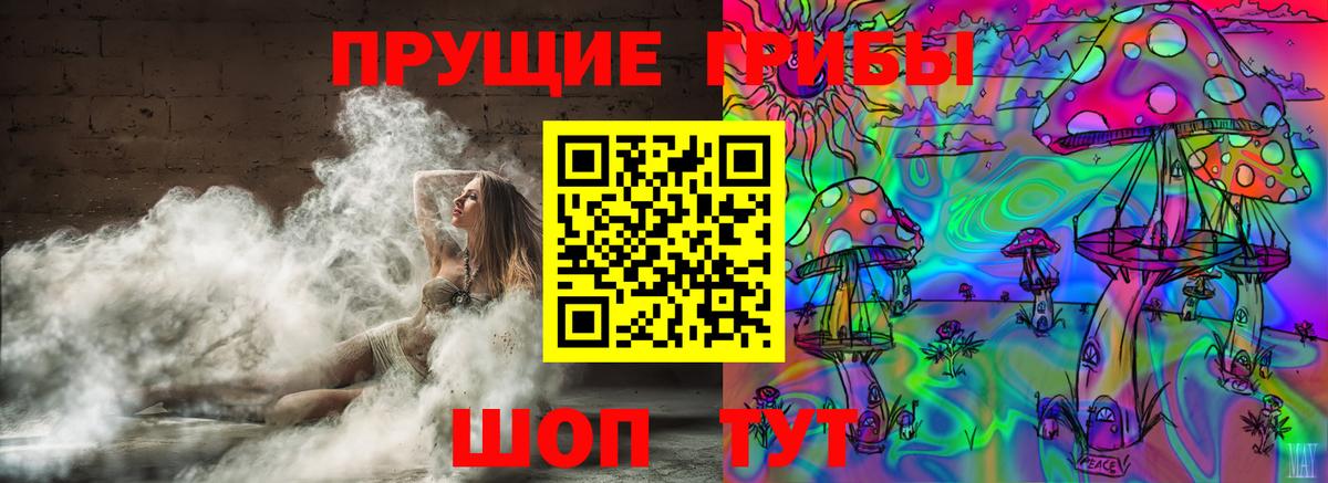Кунгур  Псилоцибиновые грибы MAGIC MUSHROOMS  где купить наркоту  Вход с VPN 
